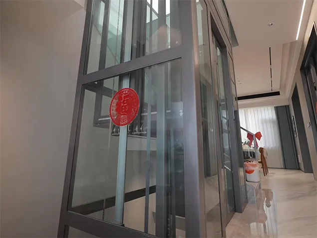 Dongguan sightseeing elevator case